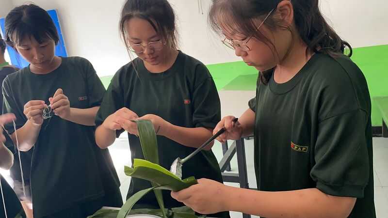 湖北黄石哪有青少年特训学校(图2)