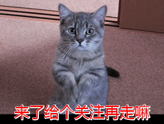 离家出走的孩子的果报(离家出走的孩子的果报)(图6)