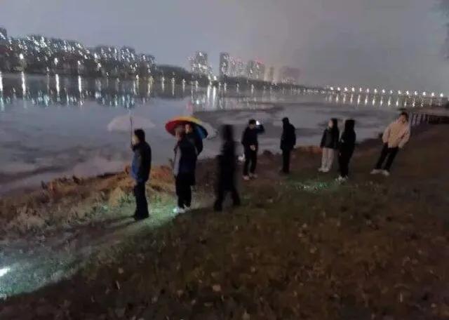 孩子校园暴力离家出走(父母怎么帮孩子解决校园暴力)(图4)
