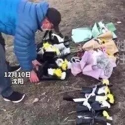 孩子校园暴力离家出走(父母怎么帮孩子解决校园暴力)(图7)